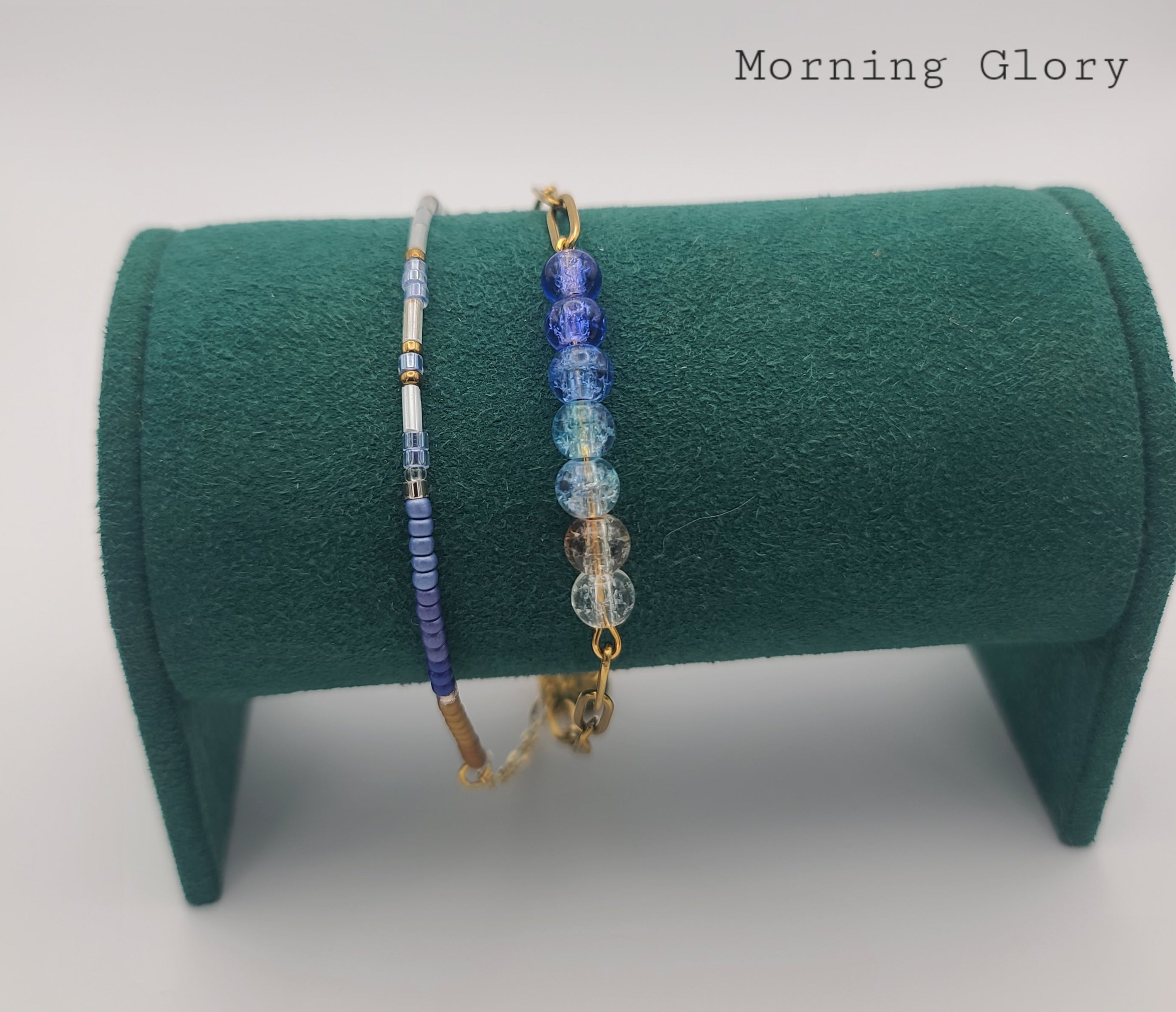 Morning Glory